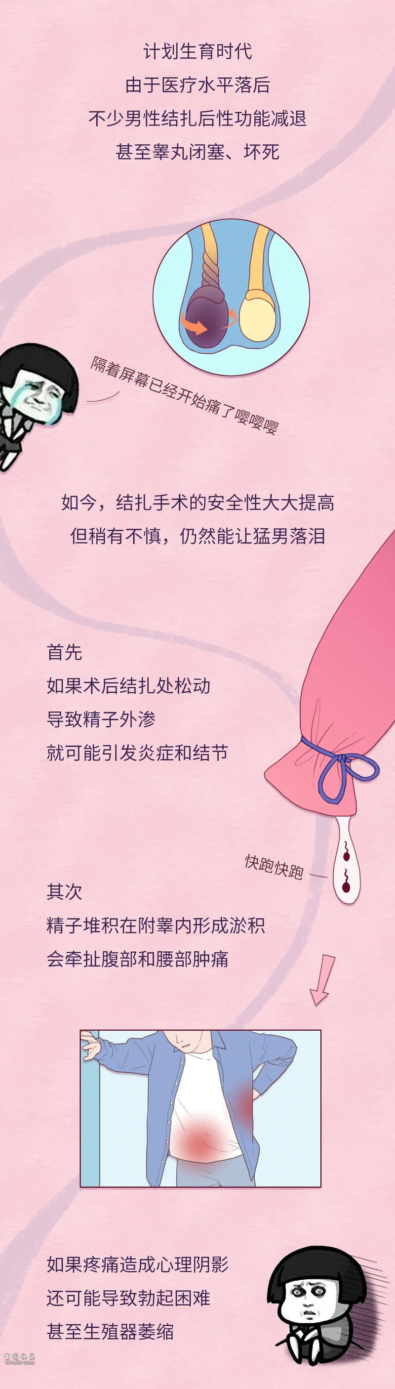 供卵赠卵试管代生移植后15天能确定是生男孩吗