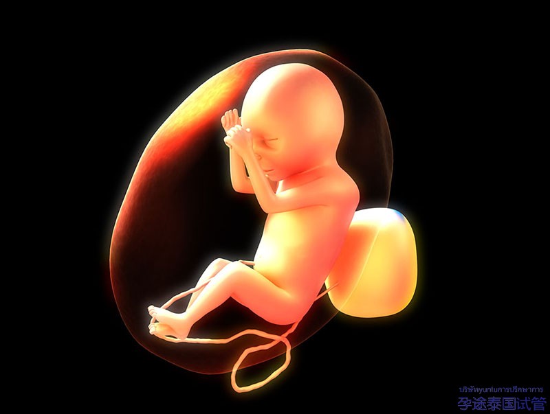 影响考研、考编.未婚生子的后果你知道多少