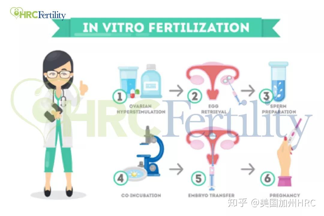 重庆妇幼借卵试管婴儿科在那里