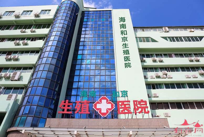 借卵做试管婴儿回输什么意思