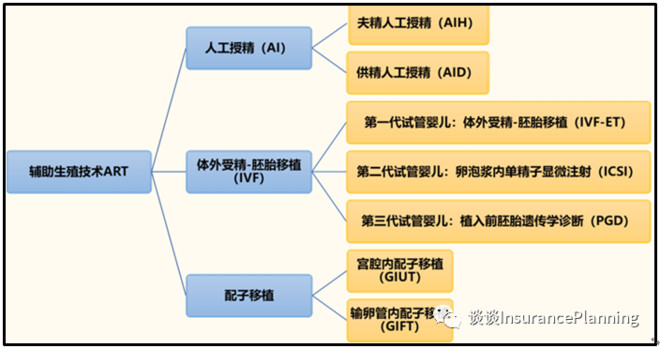 私立医院赠卵试管婴儿可以决定男女吗