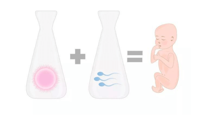 全国试管婴儿成功率最高前20名