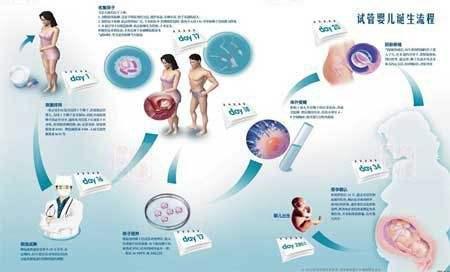 高龄女性去重庆市供卵试管代怀男孩过程的注意事项有哪些？