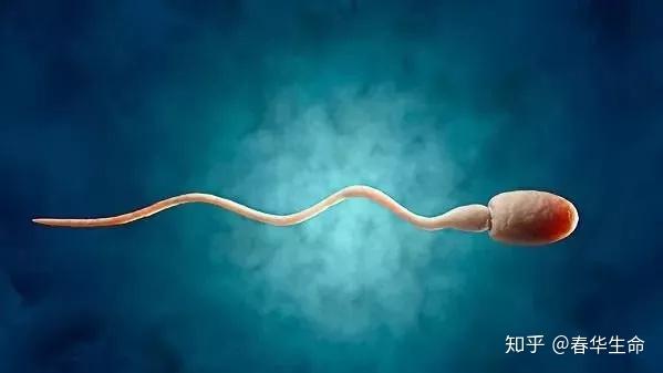 试管代怀合法么技术可以包生男孩吗