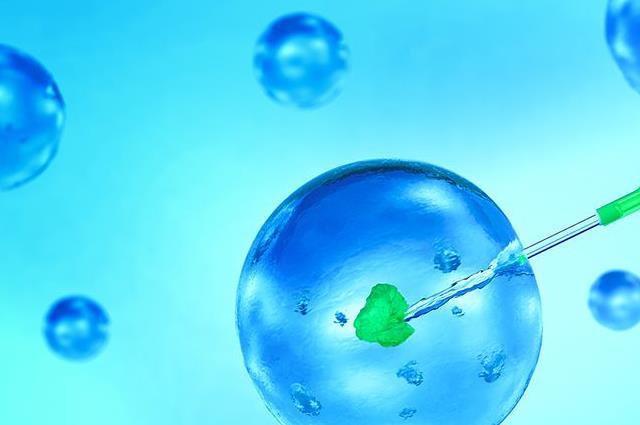 重庆借卵试管代怀男孩过程医院大全,2024助孕机构费用、成功率排名
