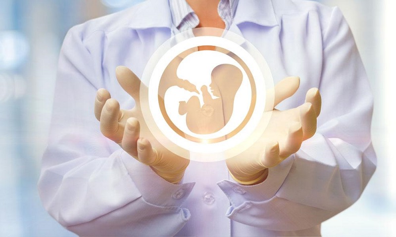 第二代哪里做试管代怀较好要多少钱助孕第二代有信誉包成功试管代怀的价位