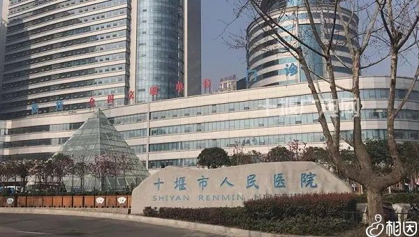 2024在重庆市二医院试管代怀服务中心婴儿要带什么证件